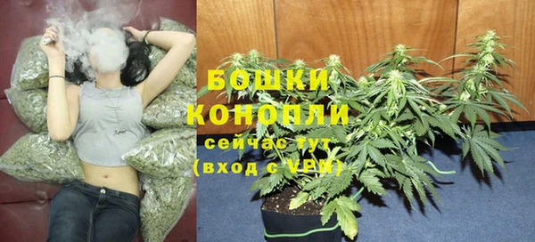 каннабис Дмитров