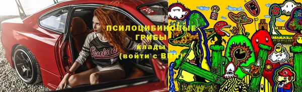 мяу мяу мука Дмитровск